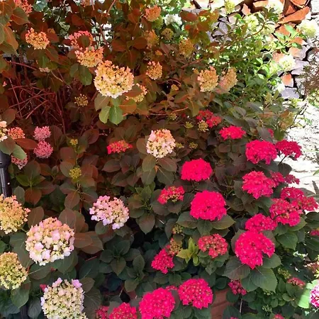 Ferienhaus, Rustico Auf Burg Appartamento