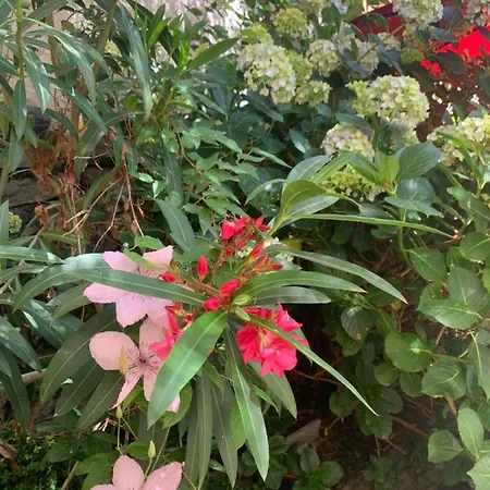 Apartment Ferienhaus, Rustico Auf Burg Locarno