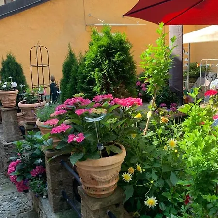 Ferienhaus, Rustico Auf Burg ロカルノ