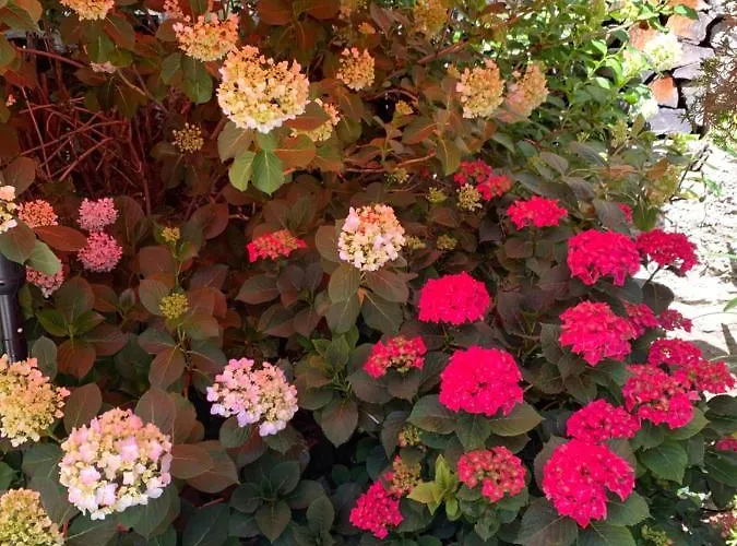 Ferienhaus, Rustico Auf Burg Apartman