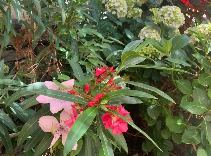 Apartman Ferienhaus, Rustico Auf Burg Locarno